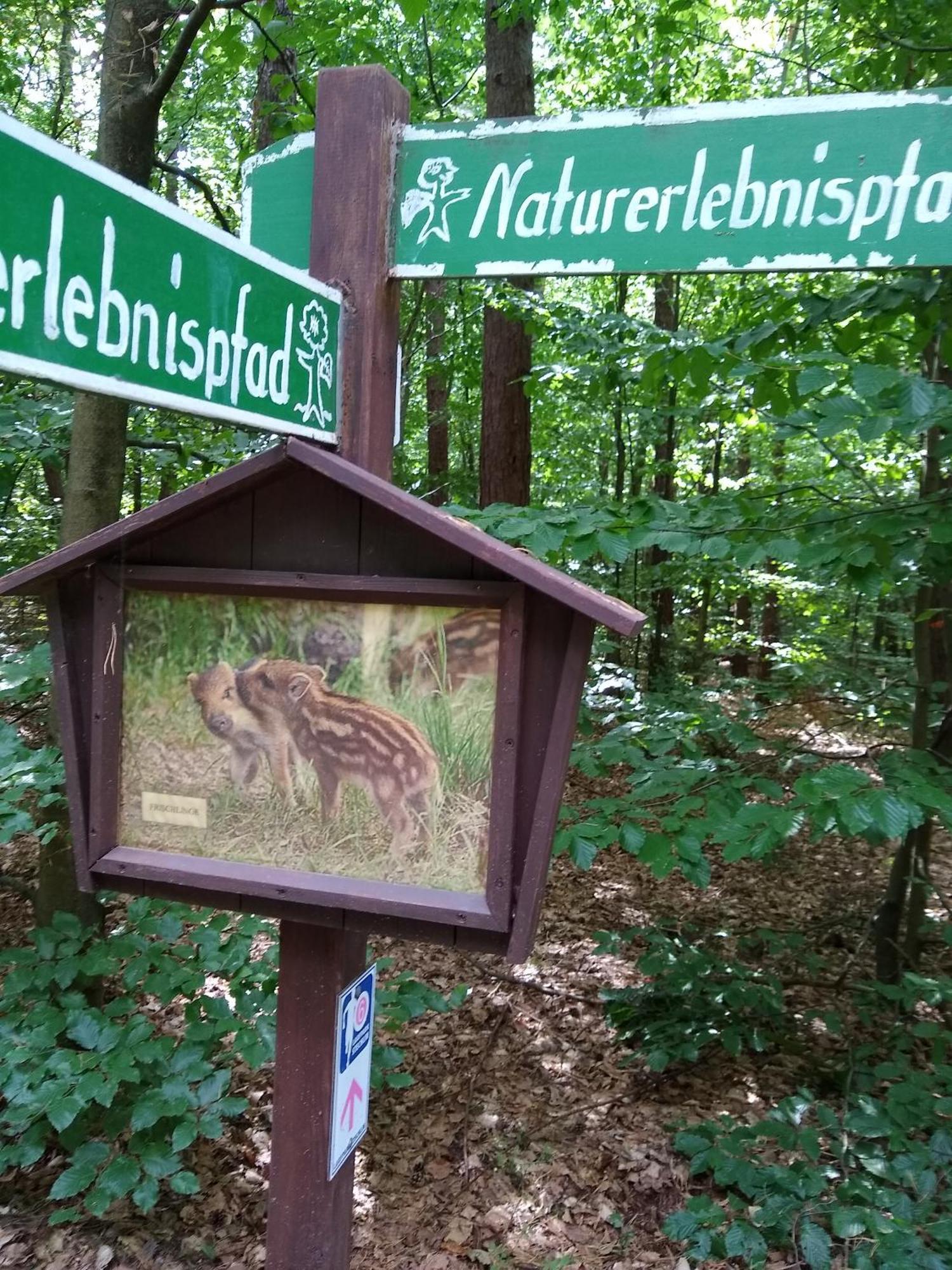 Zwei Seen Ferienhaus Canow Esterno foto